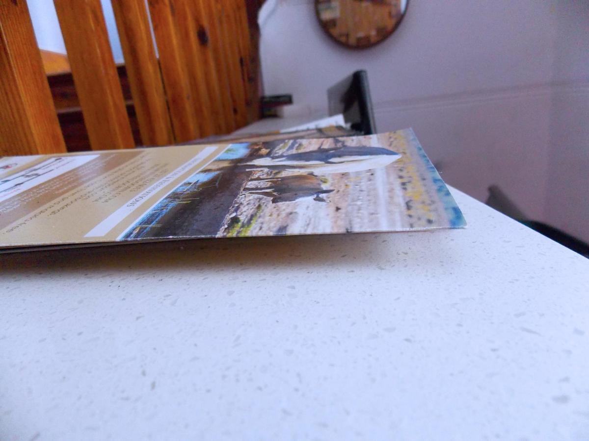 Trap Houz Backpackers Hostel Cape Town Exterior foto